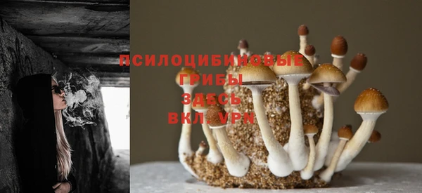 mdma Михайловск