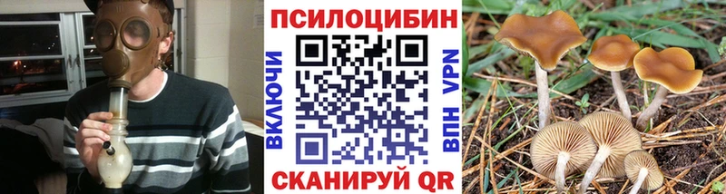 Купить  Апшеронск  Галлюциногенные грибы Cubensis 