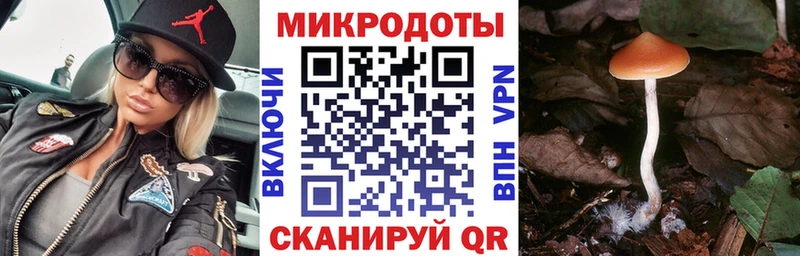 Псилоцибиновые грибы прущие грибы Апшеронск